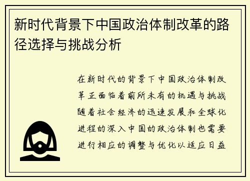 新时代背景下中国政治体制改革的路径选择与挑战分析